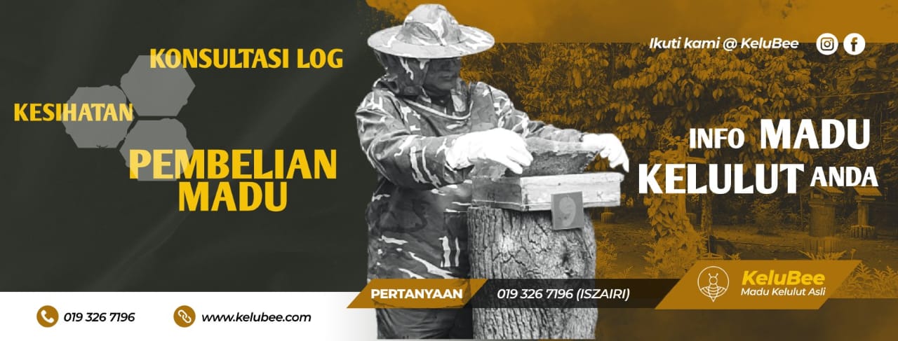 WhatsApp Image 2026-02-26 at 15.07.07 WhatsApp Image 2026-02-26 at 15.07.07